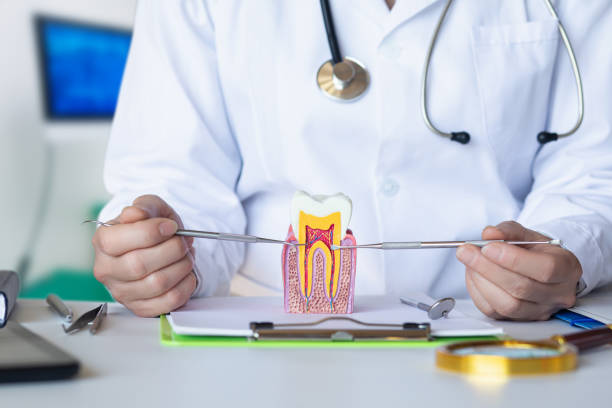 Best Emergency Treatment for Toothache in Grand Rapids, MI